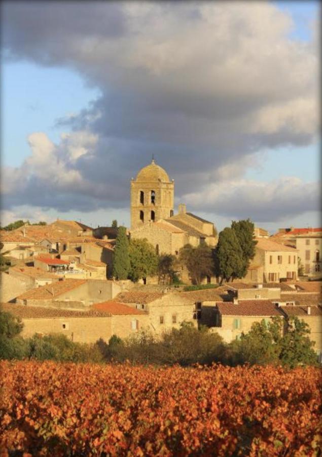 La Maison De Leontine La Liviniere 外观 照片